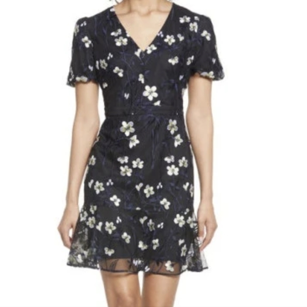 Sam Edelman Puff Sleeve Embroidered Black Mesh Dress‎ Size Small
